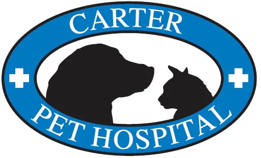 Visit cpethospital.com Carter Logo