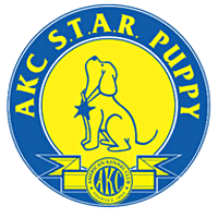 puppy-kindergarten02