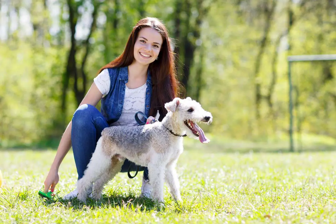 portrait of Beautiful young girl with her dogs