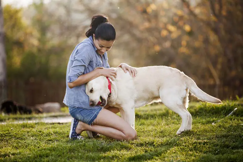 friendship