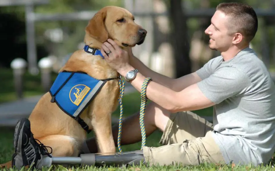 Wounded Veteran with a PTSD therapy dog