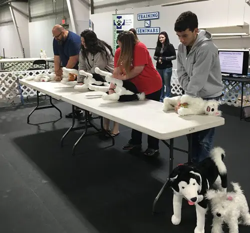 Pet-CPR