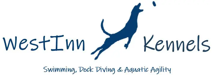 WestInn Kennels Dock Diving