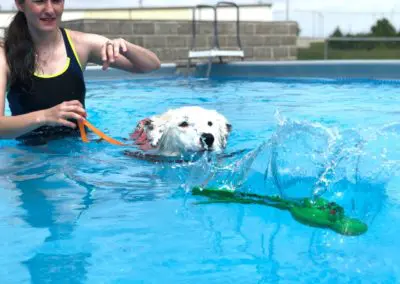 Woman guiding white dog wearing life vest as it swims toward green toy