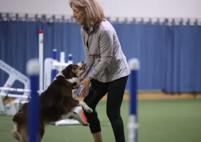 Woman training happy Australian shepherd during indoor dog agility session