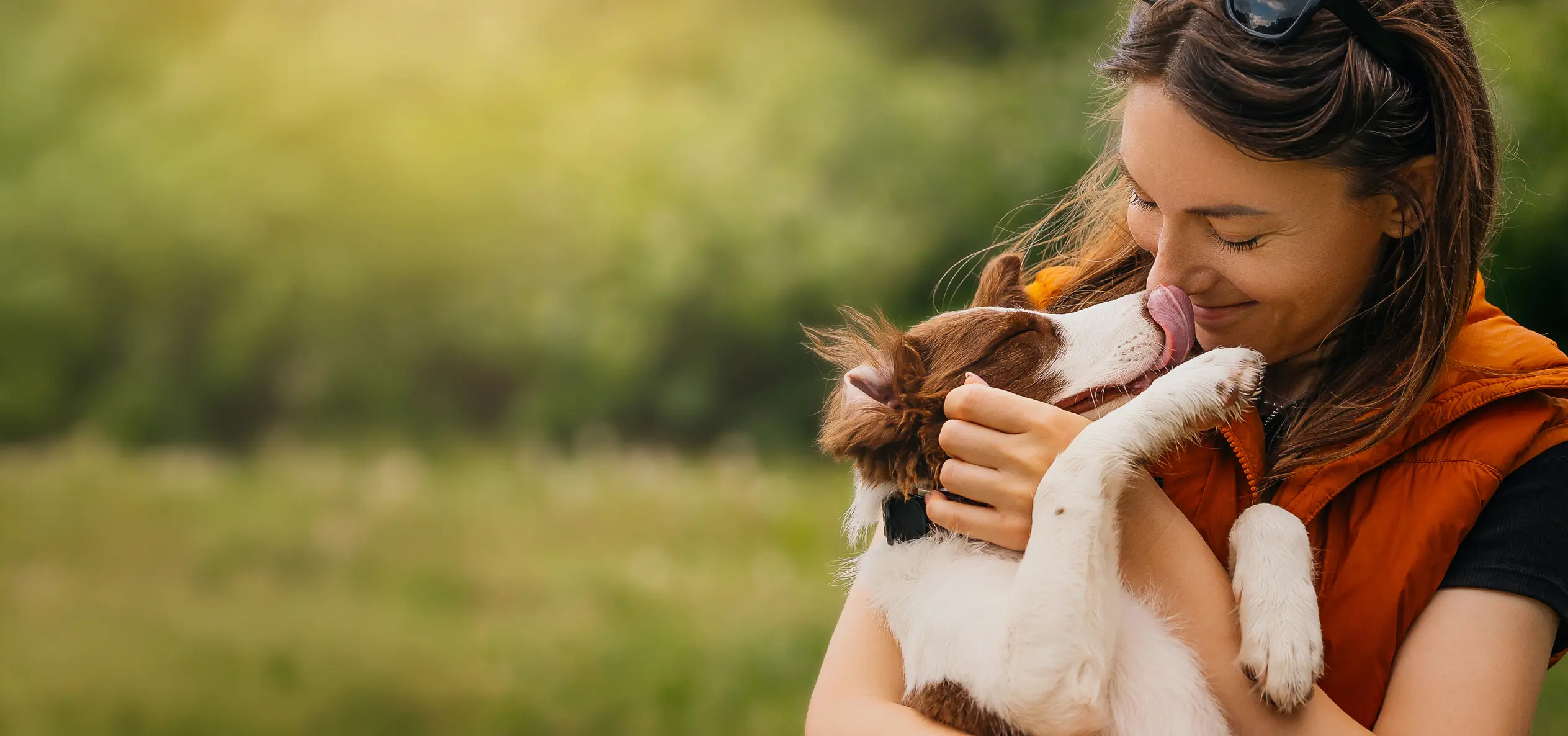 Woman Kissing Border Collie Puppy Outdoors.