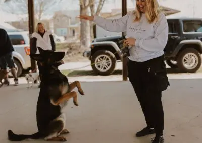 Woman training German shepherd to sit up under pavilion, smiling and holding leash