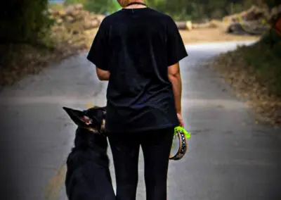 Woman walking a German Shepherd on a rural road, obedience training focus
