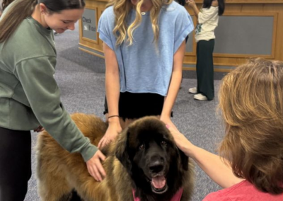 therapy dog wearing Pet Partners bandana being petted by students