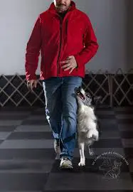 trainer and dog
