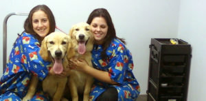 Westinn Kennels Missouri - WestInn Kennels | Missouri