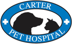 Carrier Pet Hospital